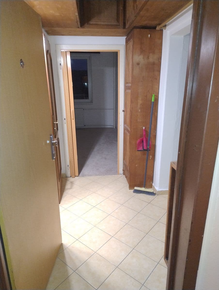 1 bedroom with open-plan kitchen flat to rent, 39 m², Štúrova, Prague, Prague 1 bedroom with open-plan kitchen flat to rent, 39 m², Štúrova, Prague, Prague