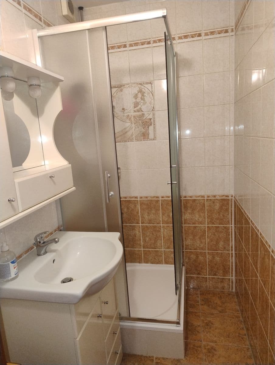 1 bedroom with open-plan kitchen flat to rent, 39 m², Štúrova, Prague, Prague 1 bedroom with open-plan kitchen flat to rent, 39 m², Štúrova, Prague, Prague