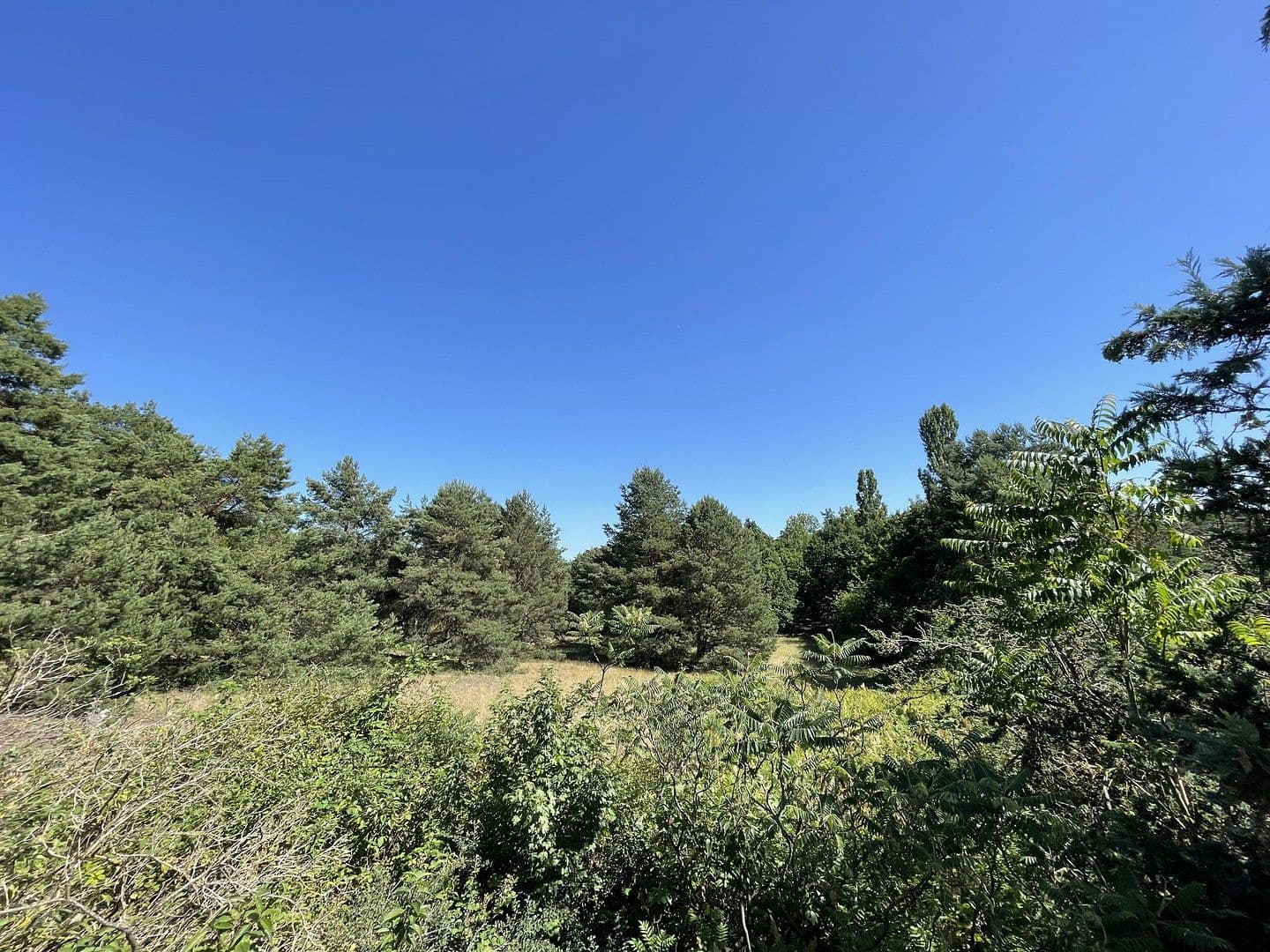 house for sale, 85 m², Rahnsdorf, Berlin house for sale, 85 m², Rahnsdorf, Berlin