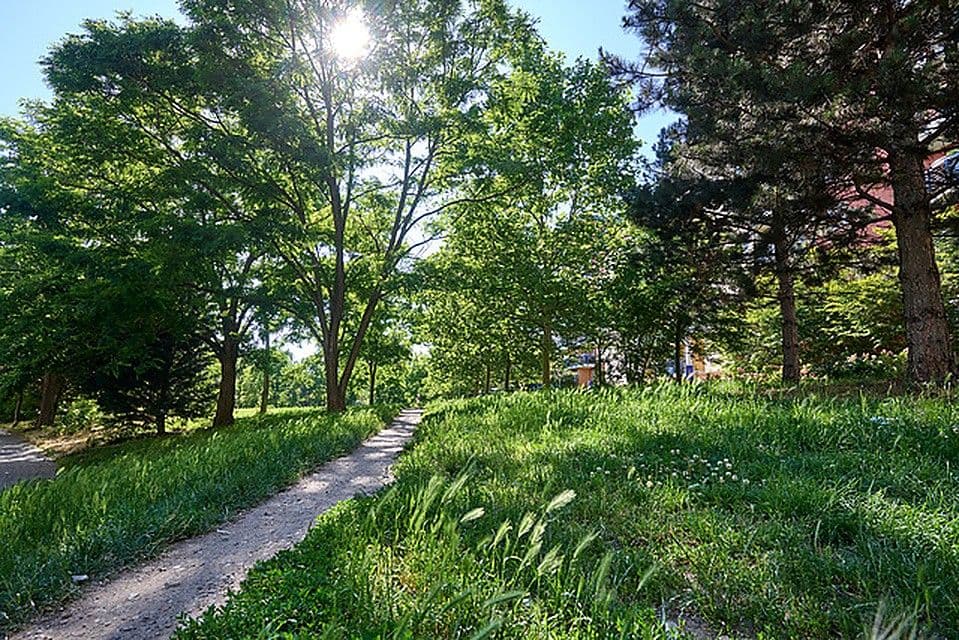 1 bedroom with open-plan kitchen flat to rent, 50 m², Paříkova, Prague, Prague 1 bedroom with open-plan kitchen flat to rent, 50 m², Paříkova, Prague, Prague