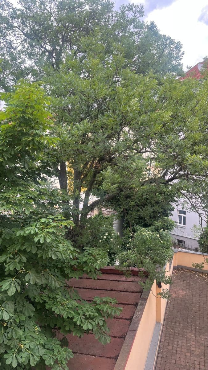 3 bedroom flat to rent, 65 m², Nuselská, Prague, Prague 3 bedroom flat to rent, 65 m², Nuselská, Prague, Prague