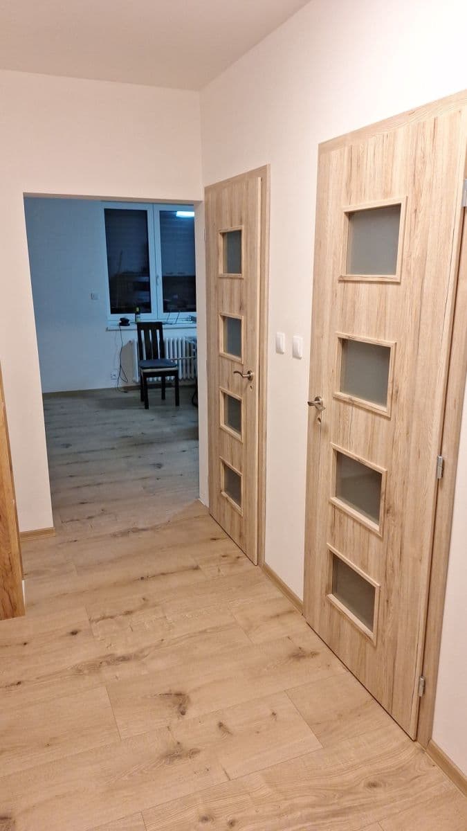 1 bedroom with open-plan kitchen flat to rent, 48 m², Pardubická, Prague, Prague 1 bedroom with open-plan kitchen flat to rent, 48 m², Pardubická, Prague, Prague