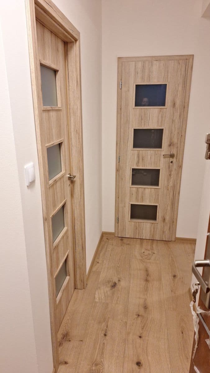 1 bedroom with open-plan kitchen flat to rent, 48 m², Pardubická, Prague, Prague 1 bedroom with open-plan kitchen flat to rent, 48 m², Pardubická, Prague, Prague