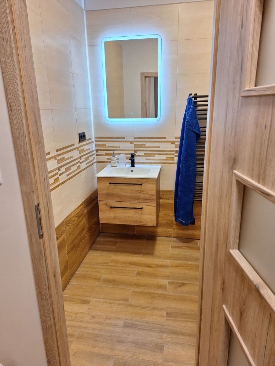 1 bedroom with open-plan kitchen flat to rent, 48 m², Pardubická, Prague, Prague 1 bedroom with open-plan kitchen flat to rent, 48 m², Pardubická, Prague, Prague