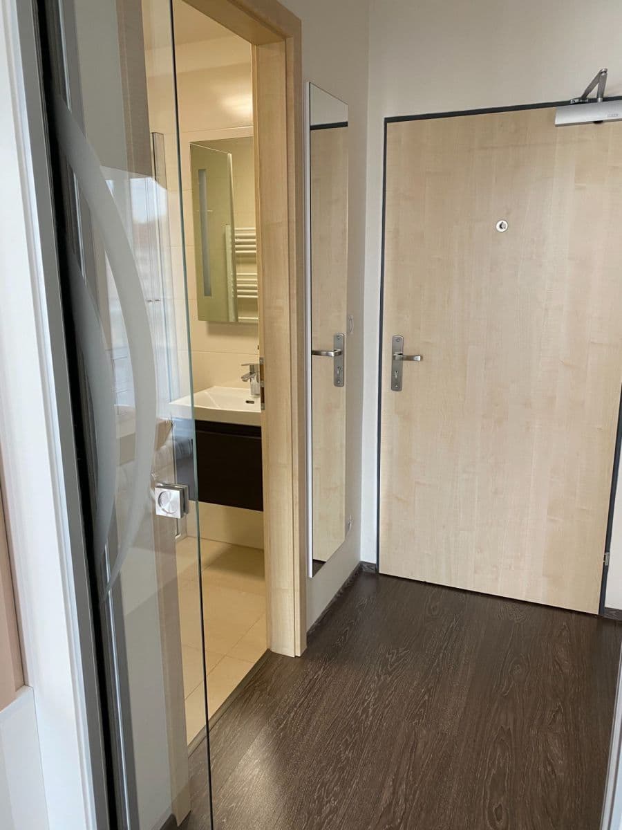 Studio flat to rent, 23 m², Lidická, Brno, Jihomoravský Region Studio flat to rent, 23 m², Lidická, Brno, Jihomoravský Region