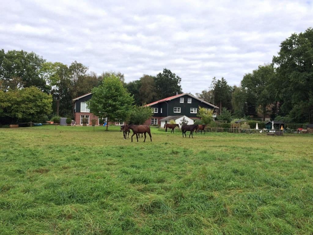 4 bedroom flat to rent, 140 m², Liether Moor 9, Klein Nordende, Schleswig-Holstein 4 bedroom flat to rent, 140 m², Liether Moor 9, Klein Nordende, Schleswig-Holstein