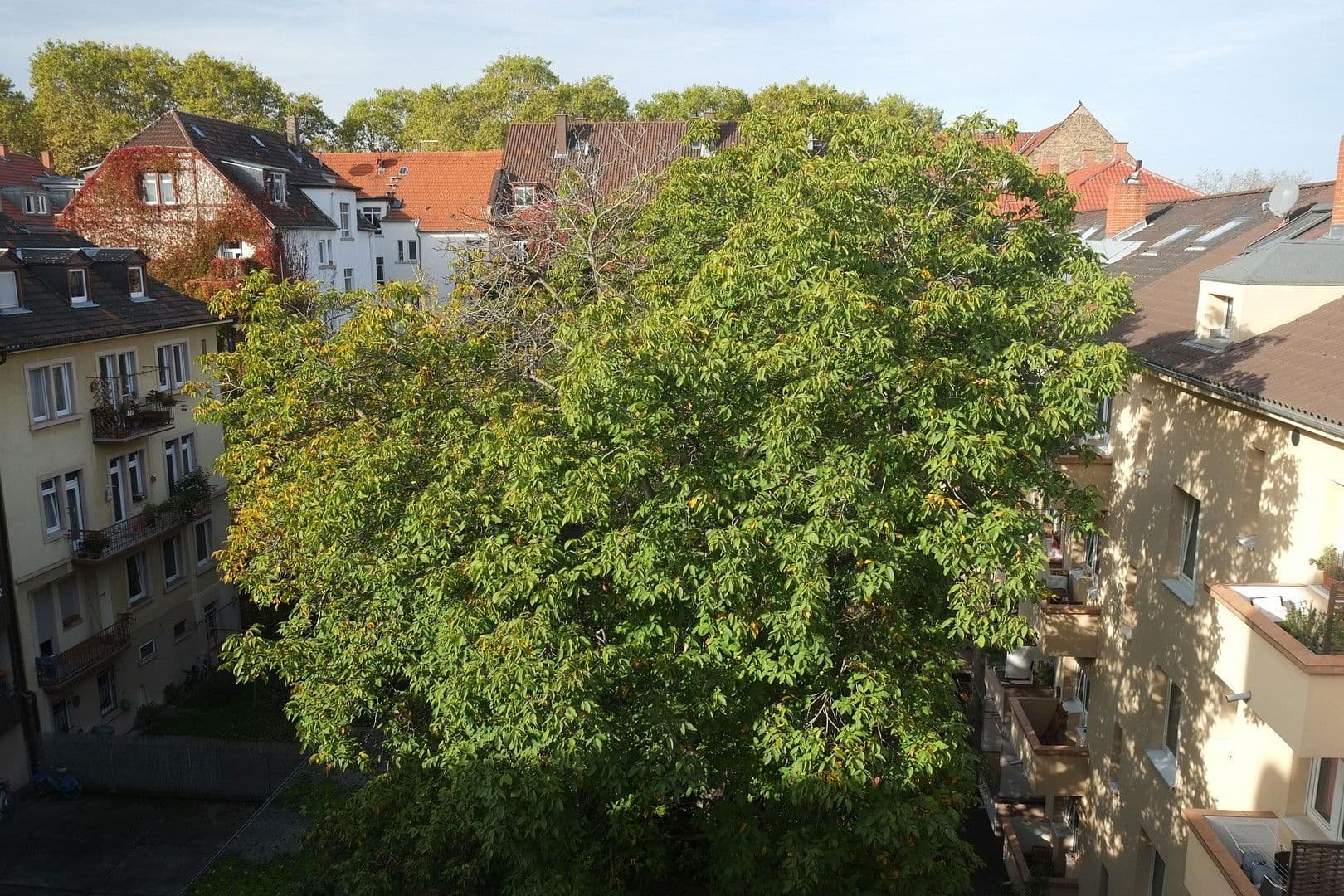 2 bedroom flat to rent, 57 m², Mannheim, Baden-Württemberg 2 bedroom flat to rent, 57 m², Mannheim, Baden-Württemberg