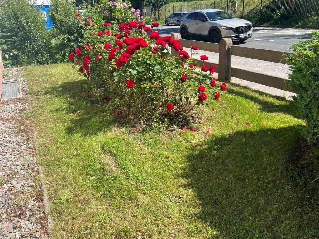 house for sale, 135 m², Rostock, Mecklenburg-Vorpommern house for sale, 135 m², Rostock, Mecklenburg-Vorpommern