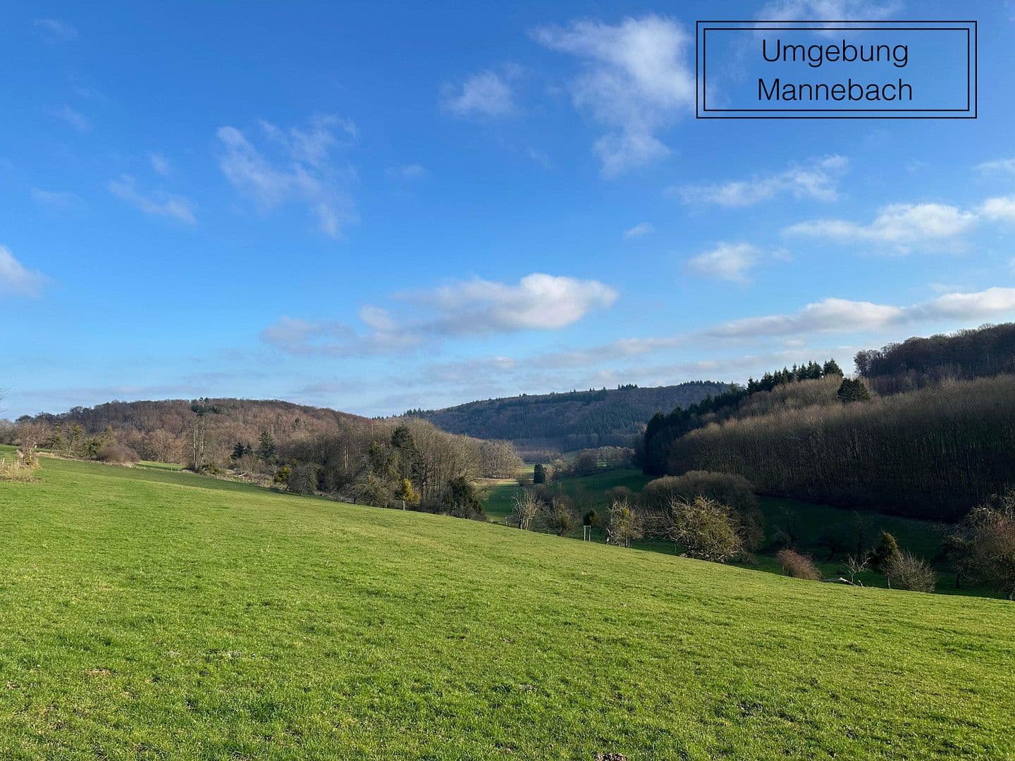 house for sale, 384 m², Mannebach, Rhineland-Palatinate house for sale, 384 m², Mannebach, Rhineland-Palatinate