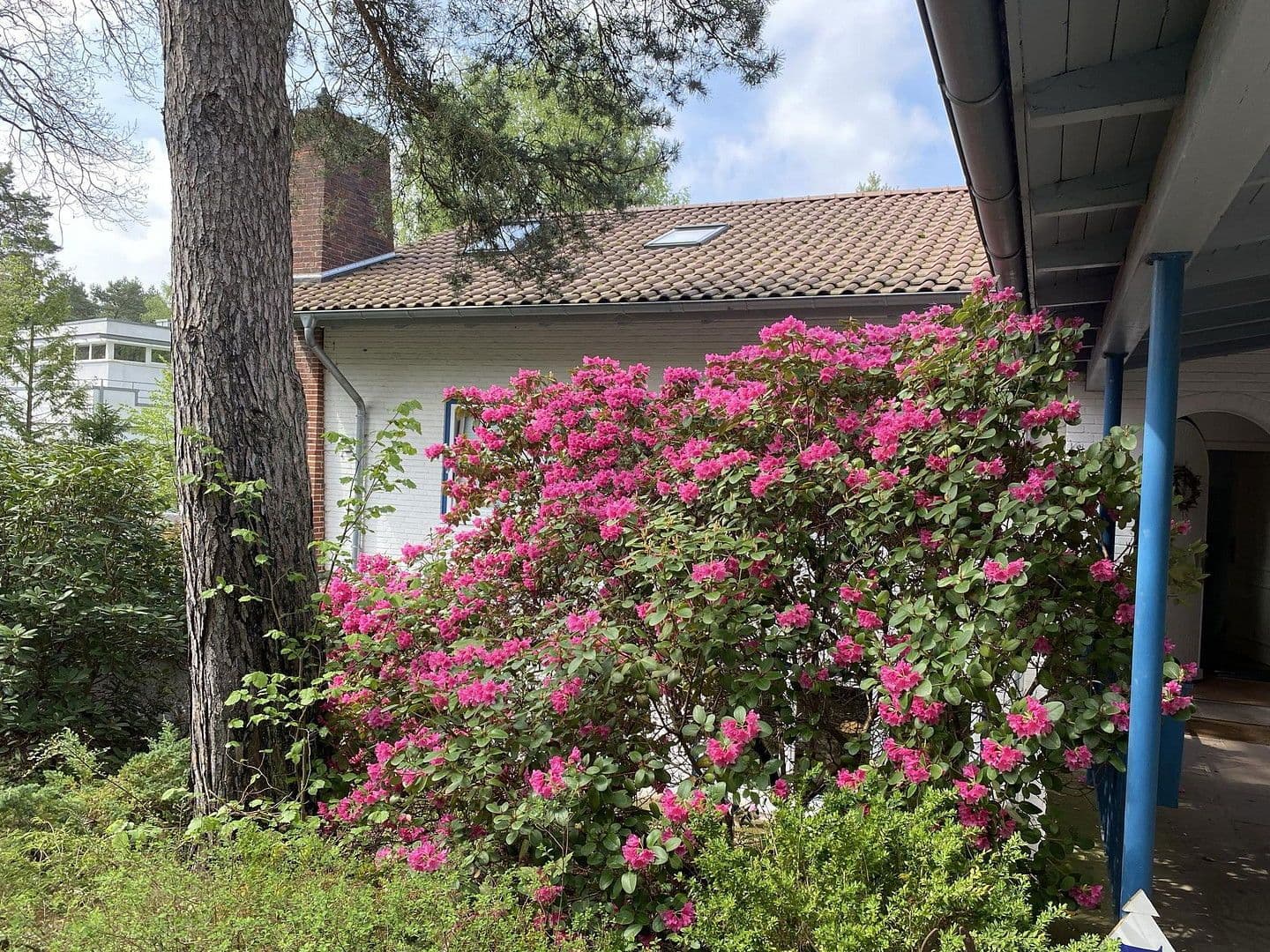 house for sale, 377 m², Deutsch Evern, Lower Saxony house for sale, 377 m², Deutsch Evern, Lower Saxony