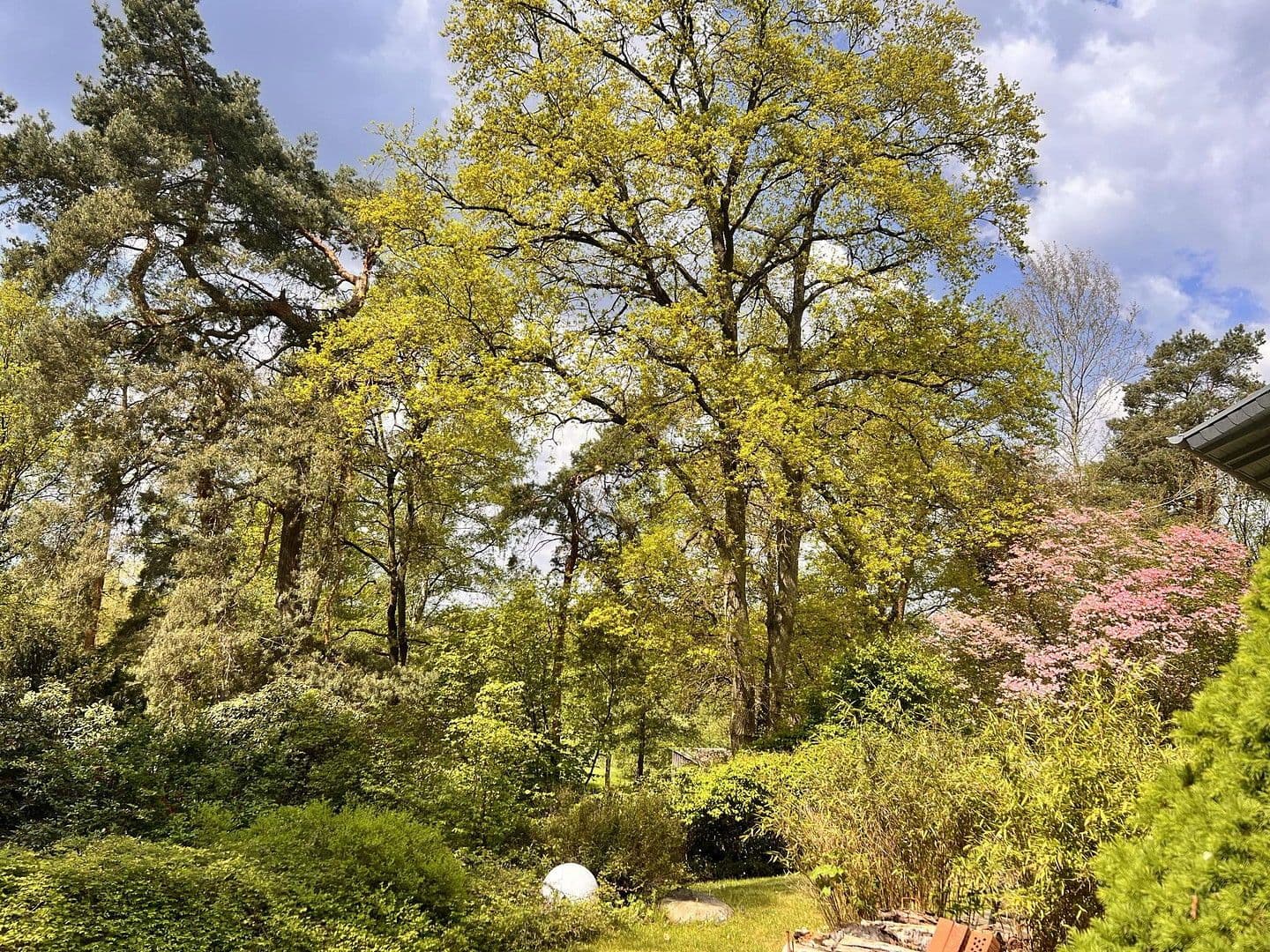 house for sale, 377 m², Deutsch Evern, Lower Saxony house for sale, 377 m², Deutsch Evern, Lower Saxony