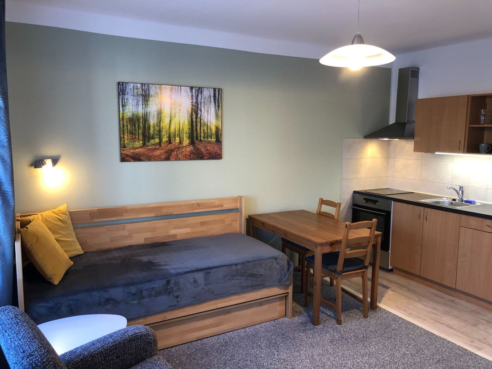 Studio flat to rent, 30 m², Eliášova, Brno, Jihomoravský Region Studio flat to rent, 30 m², Eliášova, Brno, Jihomoravský Region