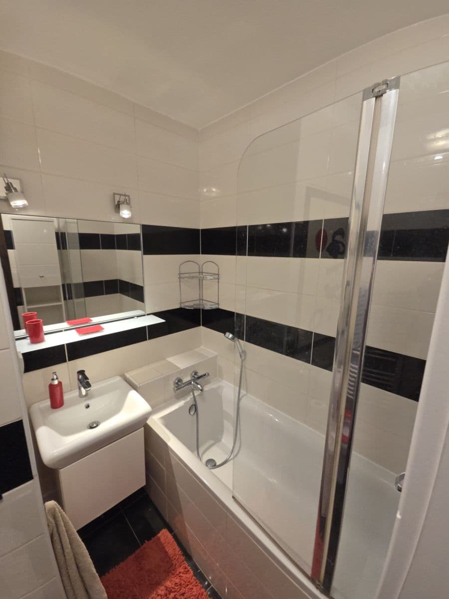 1 bedroom with open-plan kitchen flat to rent, 42 m², Mendelova, Prague, Prague 1 bedroom with open-plan kitchen flat to rent, 42 m², Mendelova, Prague, Prague