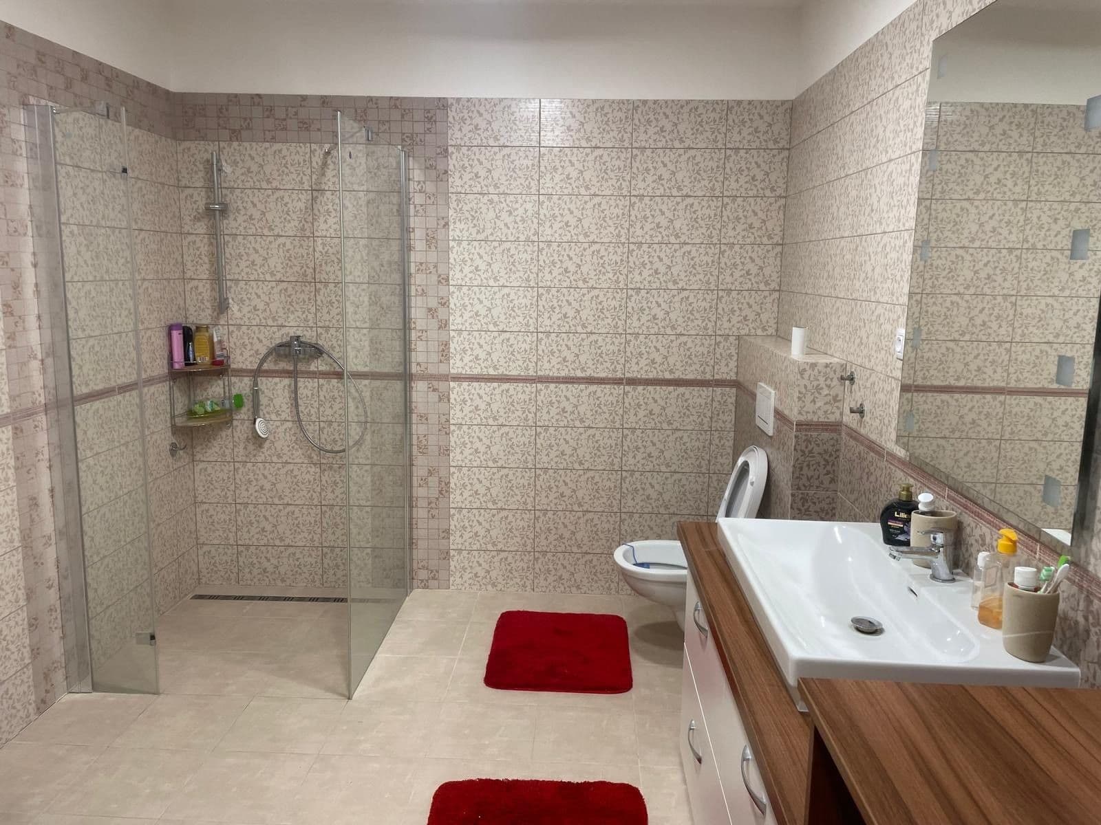 1 bedroom with open-plan kitchen flat to rent, 66 m², Nad Rybníkem, Únětice, Středočeský Region 1 bedroom with open-plan kitchen flat to rent, 66 m², Nad Rybníkem, Únětice, Středočeský Region