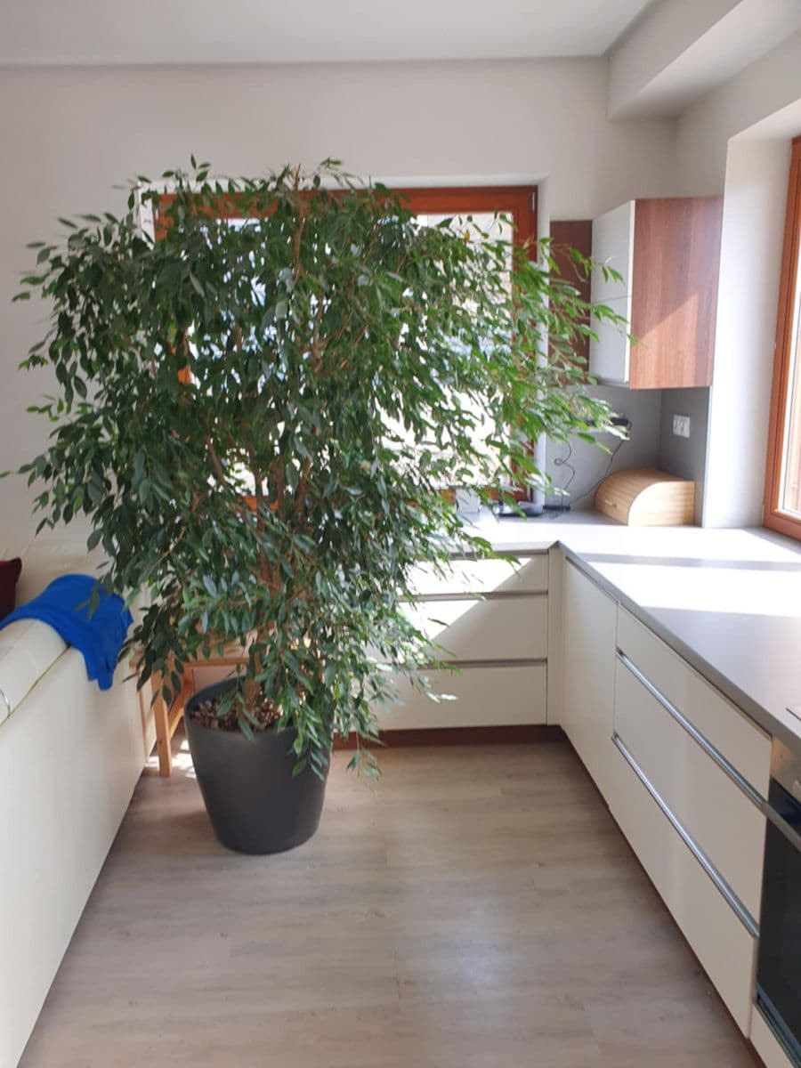 1 bedroom with open-plan kitchen flat to rent, 66 m², Nad Rybníkem, Únětice, Středočeský Region 1 bedroom with open-plan kitchen flat to rent, 66 m², Nad Rybníkem, Únětice, Středočeský Region