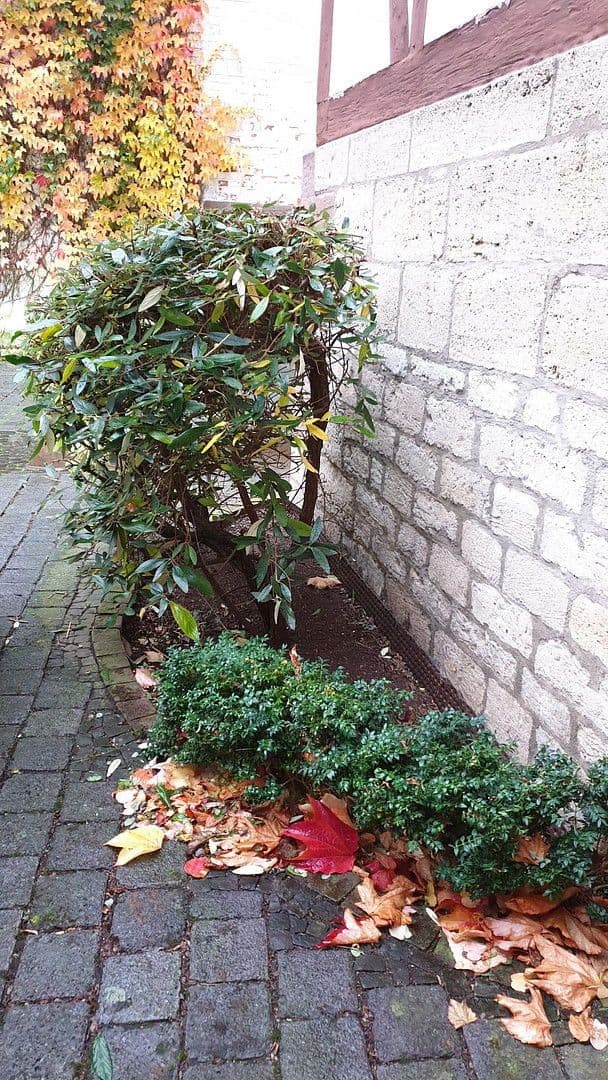 house for sale, 672 m², Triftstr. 22, Leinefelde-Worbis, Thuringia house for sale, 672 m², Triftstr. 22, Leinefelde-Worbis, Thuringia