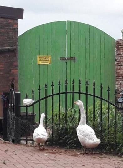 house for sale, 160 m², St. Georgiwold 28, Weener, Lower Saxony house for sale, 160 m², St. Georgiwold 28, Weener, Lower Saxony