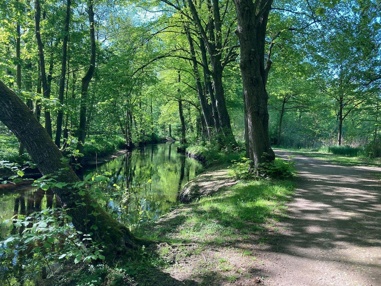 house for sale, 201 m², Bad Bramstedt, Schleswig-Holstein house for sale, 201 m², Bad Bramstedt, Schleswig-Holstein