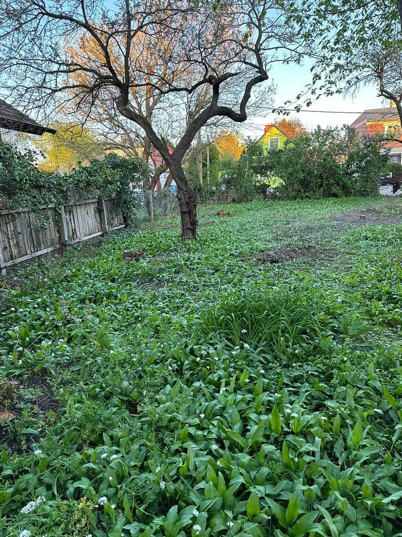 plot for sale, 493 m², Wien, Vienna plot for sale, 493 m², Wien, Vienna