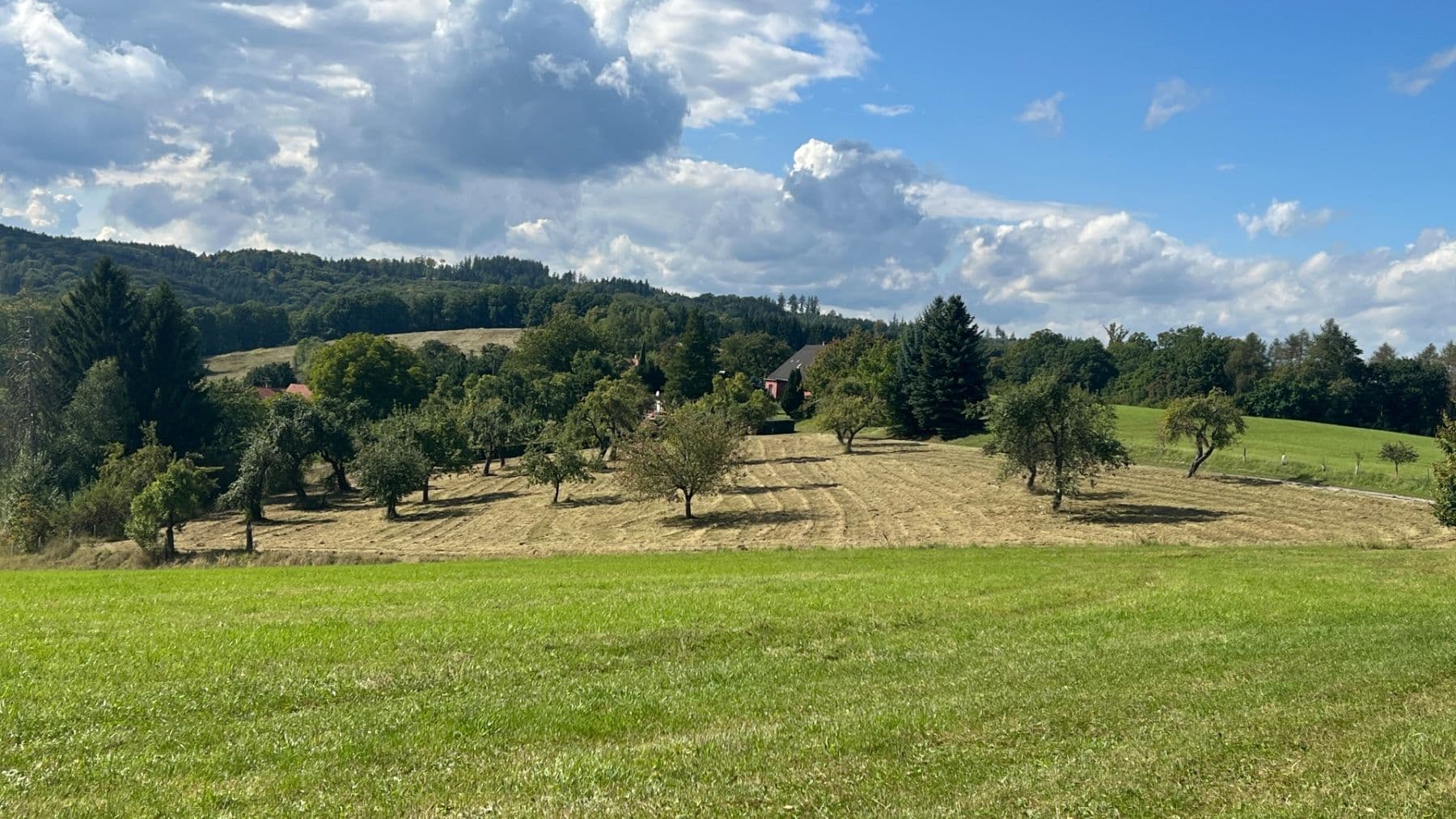 plot for sale, 5,276 m², Šárovcova Lhota, Královéhradecký Region plot for sale, 5,276 m², Šárovcova Lhota, Královéhradecký Region