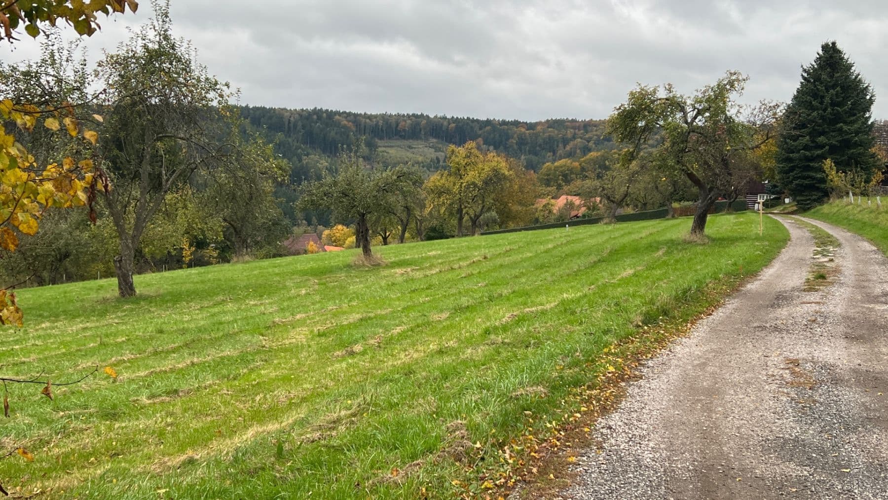 plot for sale, 5,276 m², Šárovcova Lhota, Královéhradecký Region plot for sale, 5,276 m², Šárovcova Lhota, Královéhradecký Region