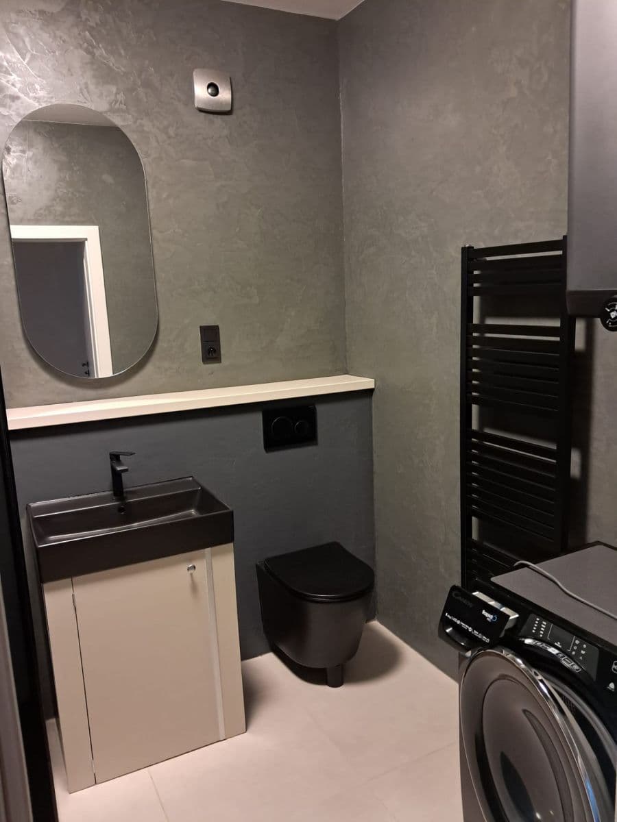 1 bedroom with open-plan kitchen flat to rent, 50 m², Křehlíkova, Brno, Jihomoravský Region 1 bedroom with open-plan kitchen flat to rent, 50 m², Křehlíkova, Brno, Jihomoravský Region