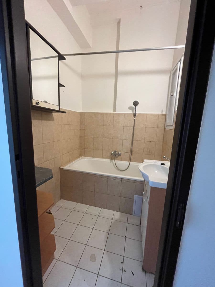 1 bedroom with open-plan kitchen flat to rent, 50 m², Prachnerova, Prague, Prague 1 bedroom with open-plan kitchen flat to rent, 50 m², Prachnerova, Prague, Prague