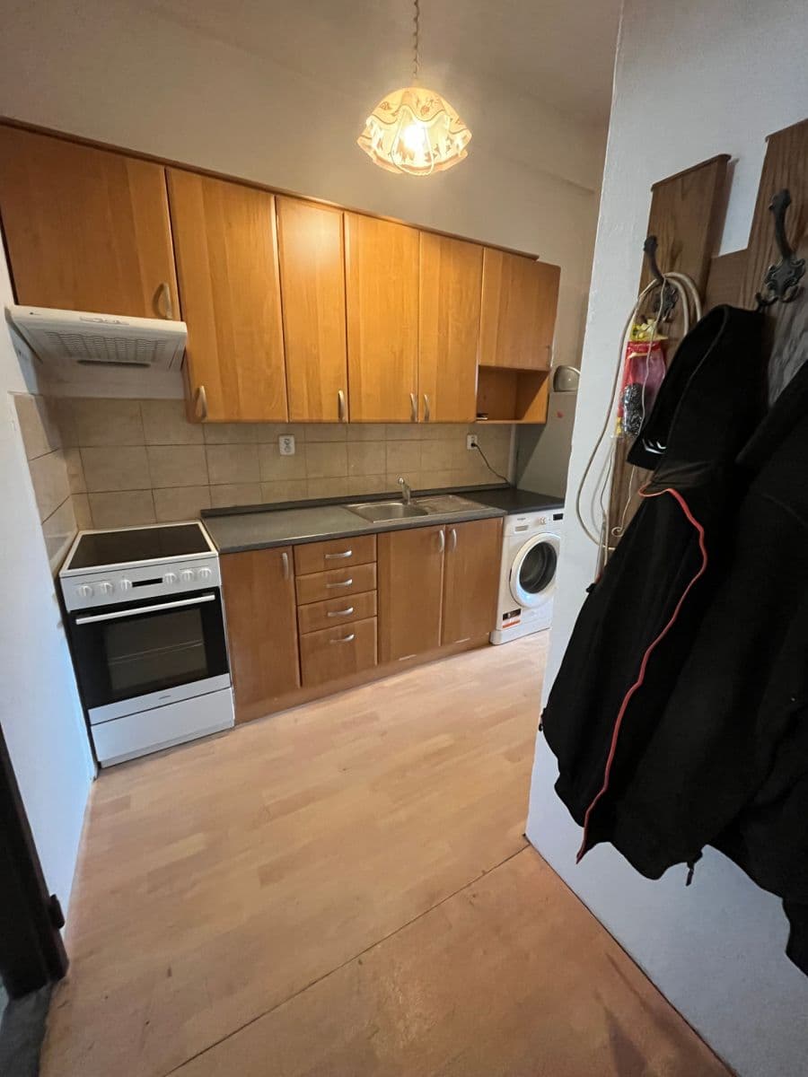 1 bedroom with open-plan kitchen flat to rent, 50 m², Prachnerova, Prague, Prague 1 bedroom with open-plan kitchen flat to rent, 50 m², Prachnerova, Prague, Prague