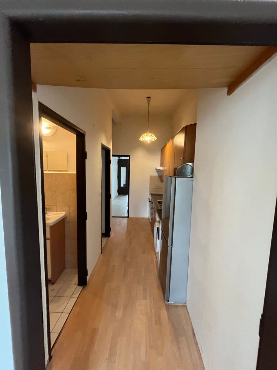 1 bedroom with open-plan kitchen flat to rent, 50 m², Prachnerova, Prague, Prague 1 bedroom with open-plan kitchen flat to rent, 50 m², Prachnerova, Prague, Prague