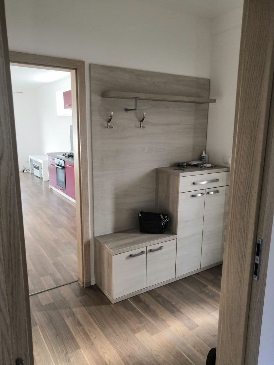 1 bedroom with open-plan kitchen flat to rent, 57 m², K Remízku, Plzeň, Plzeňský Region 1 bedroom with open-plan kitchen flat to rent, 57 m², K Remízku, Plzeň, Plzeňský Region