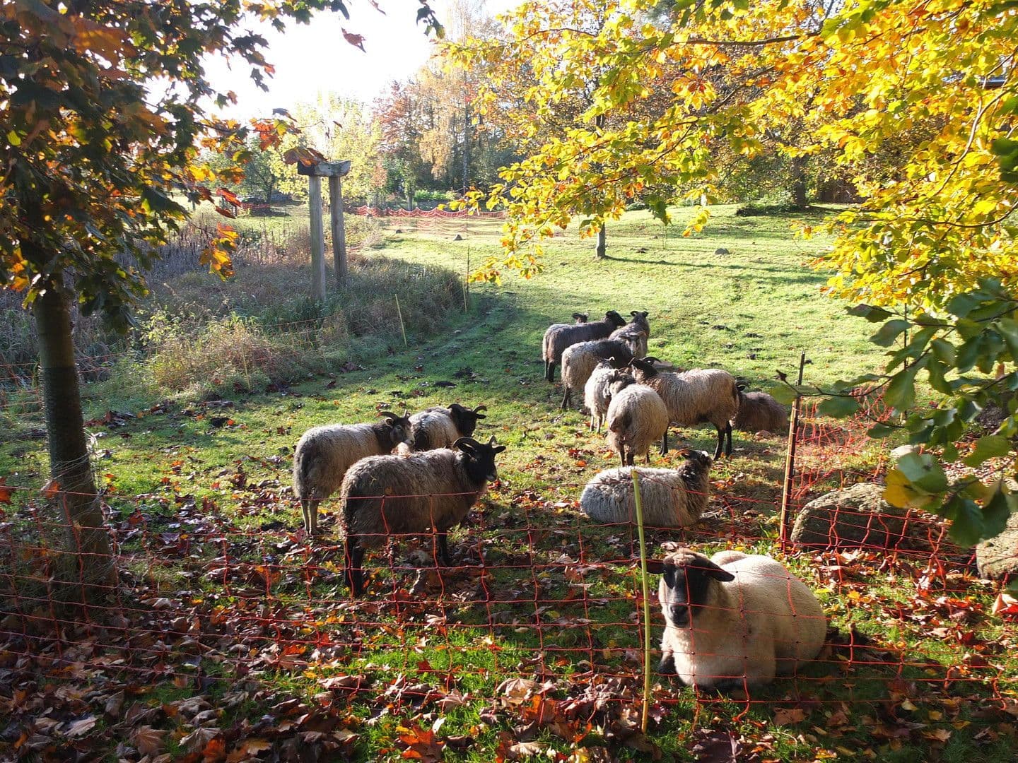 flat for sale, 1,000 m², Sterley, Schleswig-Holstein flat for sale, 1,000 m², Sterley, Schleswig-Holstein