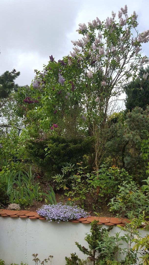 house for sale, 132 m², Dasing, Bavaria house for sale, 132 m², Dasing, Bavaria