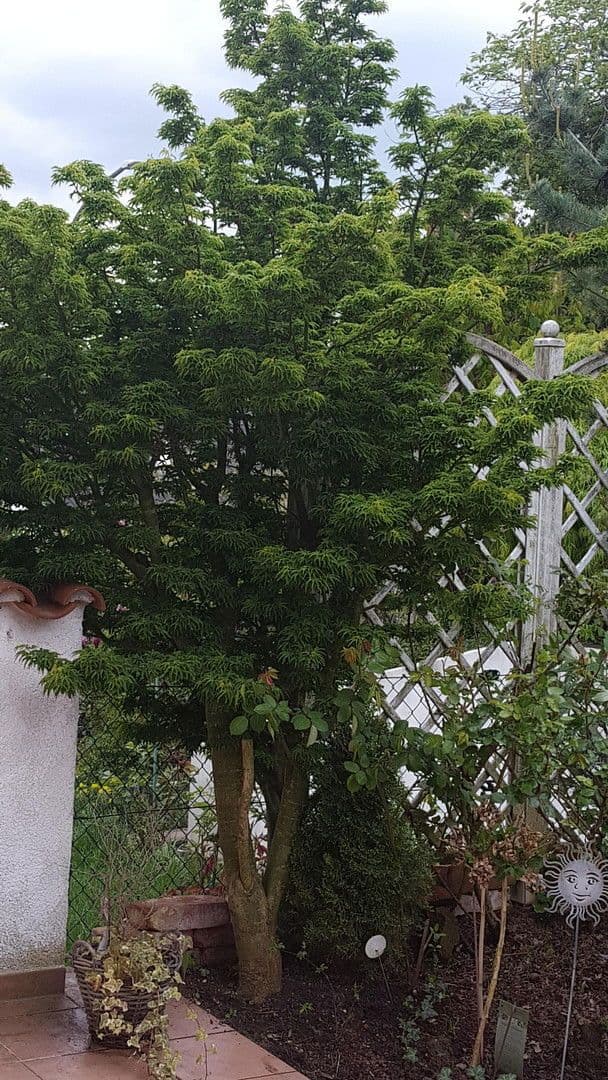 house for sale, 132 m², Dasing, Bavaria house for sale, 132 m², Dasing, Bavaria