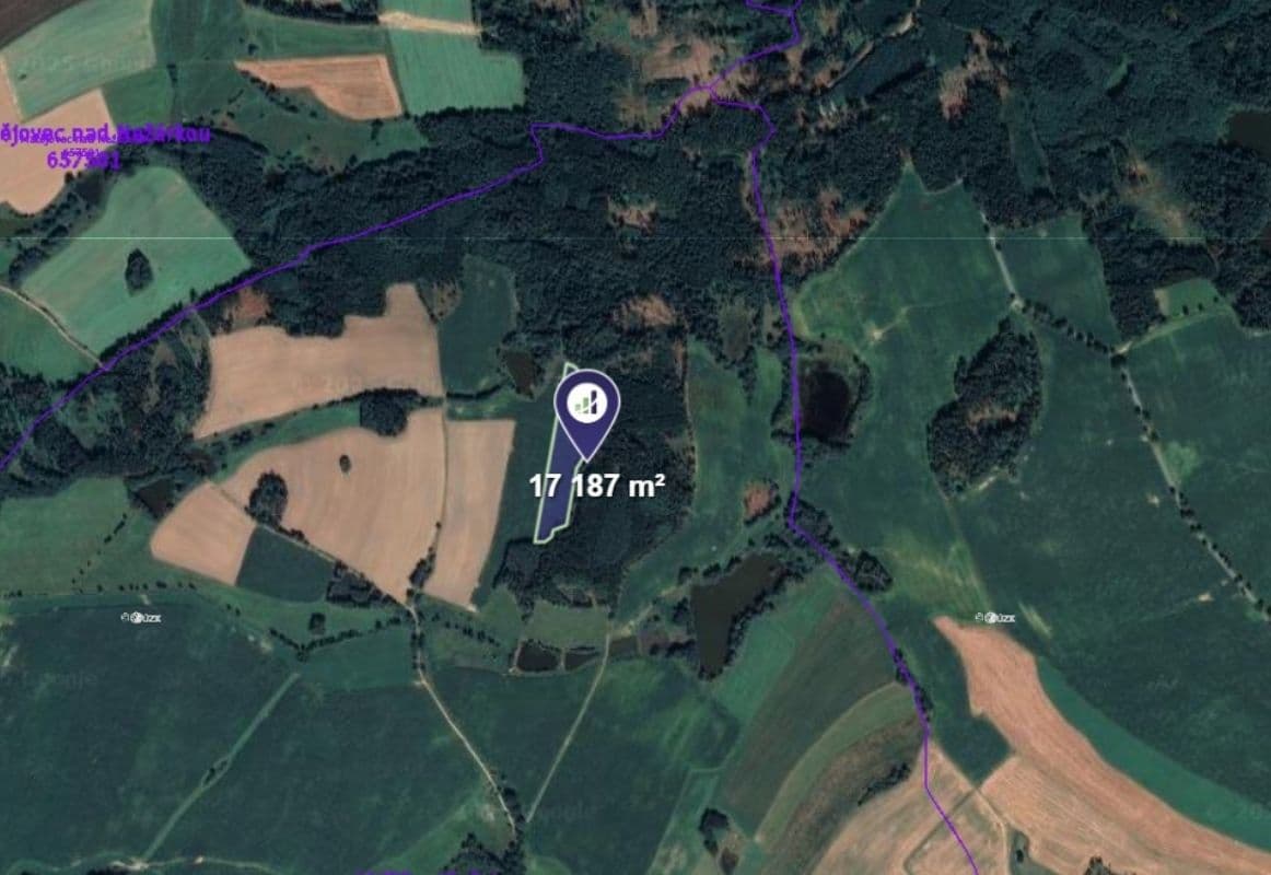 plot for sale, 17,187 m², Blažejov, Jihočeský Region plot for sale, 17,187 m², Blažejov, Jihočeský Region