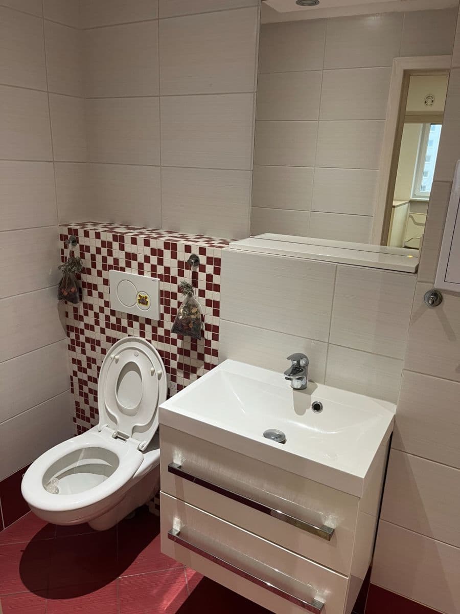 1 bedroom with open-plan kitchen flat to rent, 54 m², Na Poustkách, Prague, Prague 1 bedroom with open-plan kitchen flat to rent, 54 m², Na Poustkách, Prague, Prague