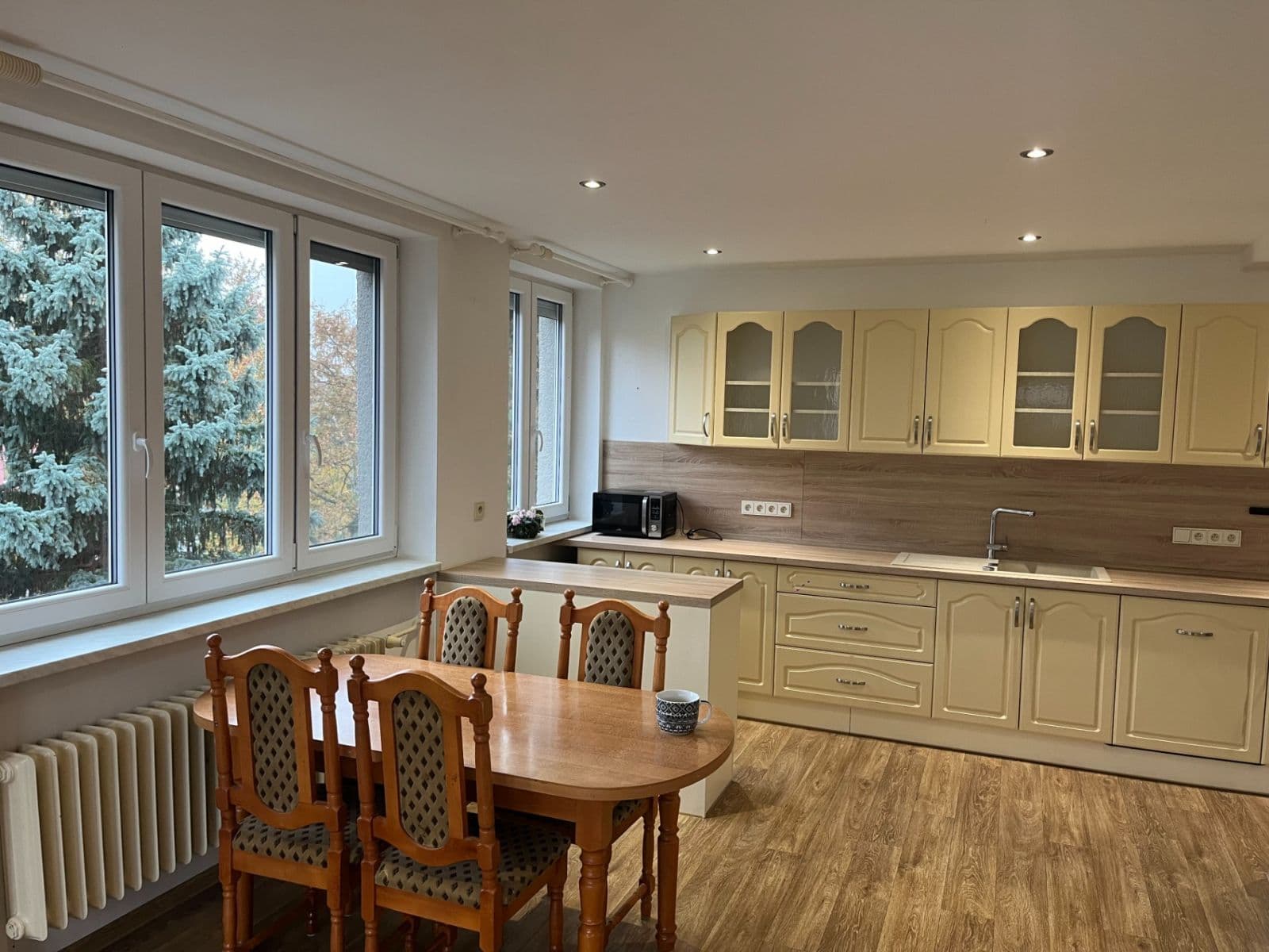 1 bedroom with open-plan kitchen flat to rent, 54 m², Na Poustkách, Prague, Prague 1 bedroom with open-plan kitchen flat to rent, 54 m², Na Poustkách, Prague, Prague