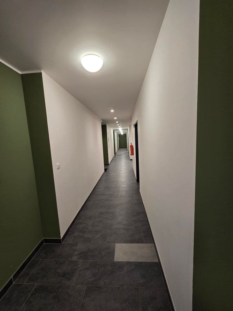 1 bedroom with open-plan kitchen flat for sale, 54 m², Ondrákové, Prague, Prague 1 bedroom with open-plan kitchen flat for sale, 54 m², Ondrákové, Prague, Prague