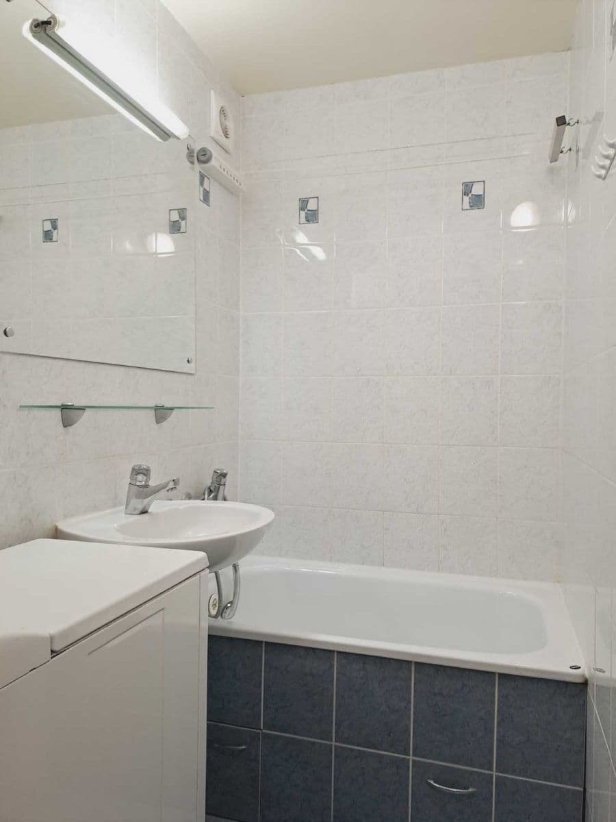 1 bedroom with open-plan kitchen flat to rent, 43 m², Boháčova, Prague, Prague 1 bedroom with open-plan kitchen flat to rent, 43 m², Boháčova, Prague, Prague