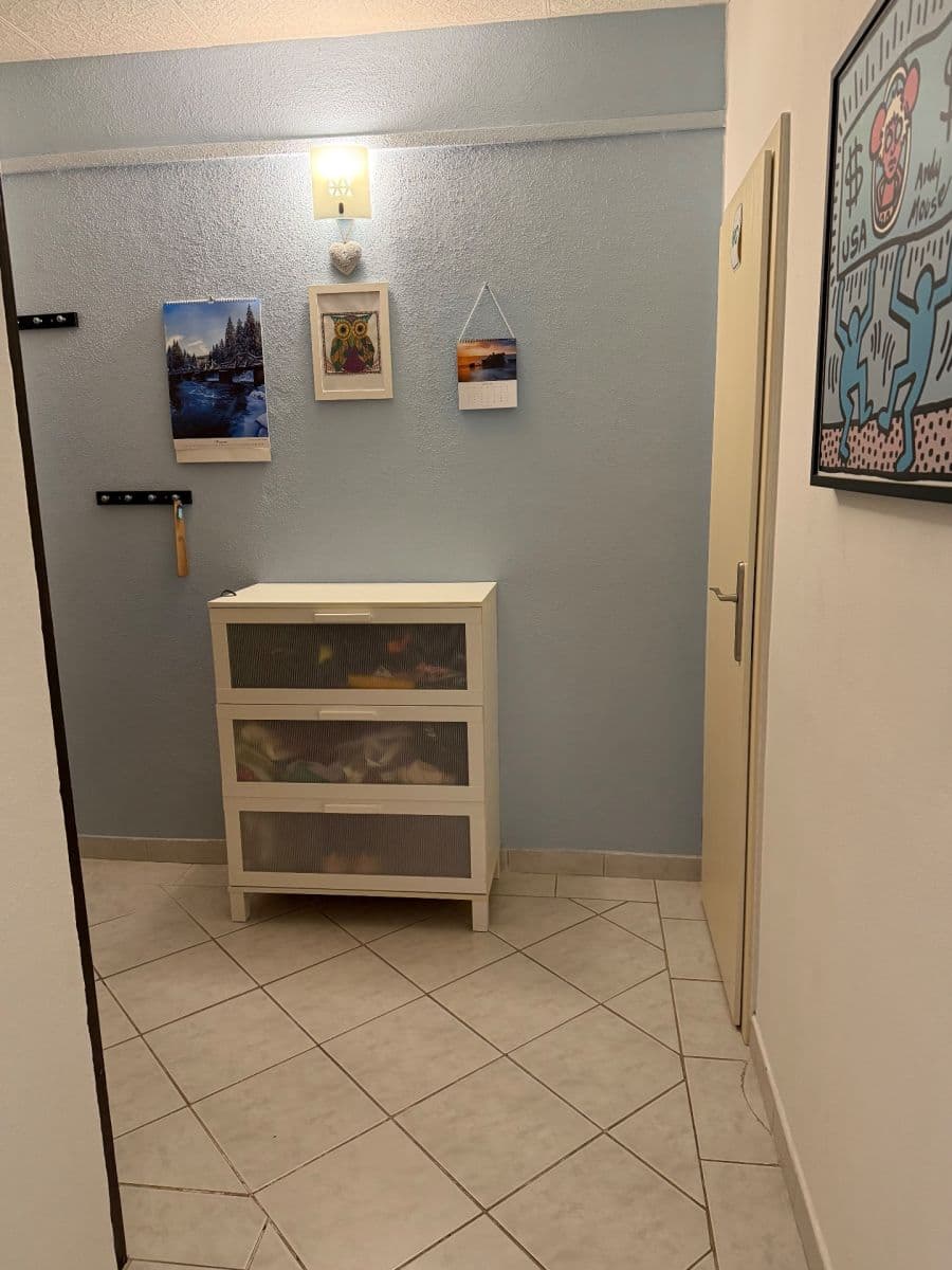 3 bedroom flat for sale, 74 m², J. Buděšínského, České Budějovice, Jihočeský Region 3 bedroom flat for sale, 74 m², J. Buděšínského, České Budějovice, Jihočeský Region