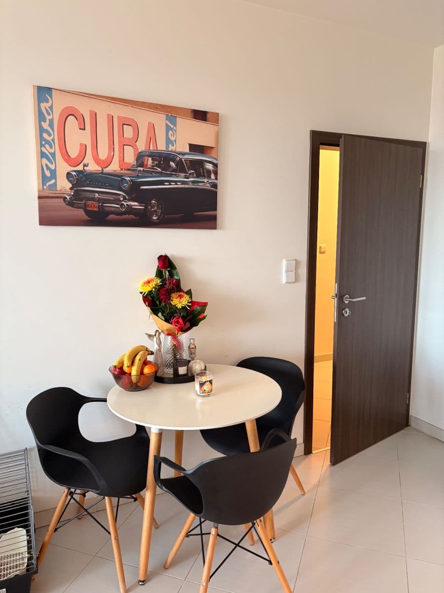 1 bedroom with open-plan kitchen flat to rent, 53 m², Honzíkova, Prague, Prague 1 bedroom with open-plan kitchen flat to rent, 53 m², Honzíkova, Prague, Prague