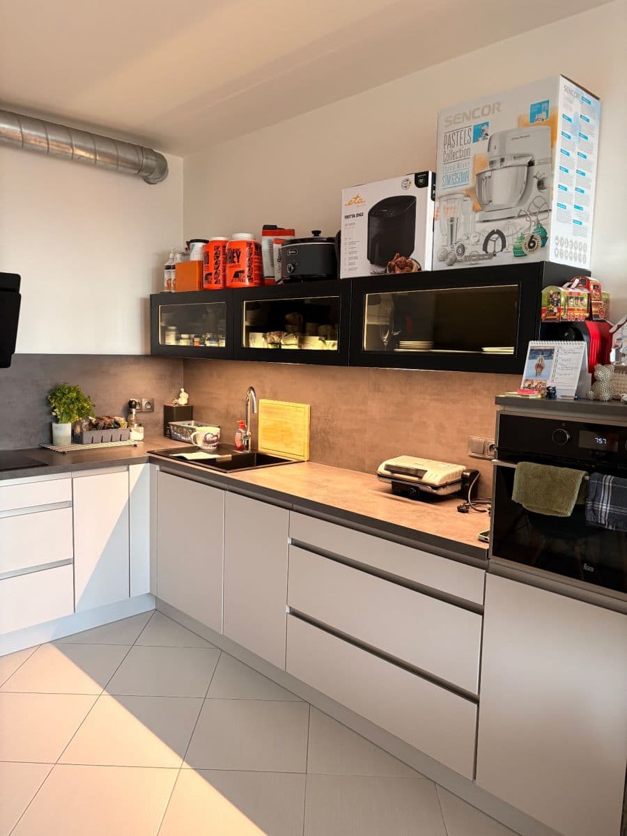 1 bedroom with open-plan kitchen flat to rent, 53 m², Honzíkova, Prague, Prague 1 bedroom with open-plan kitchen flat to rent, 53 m², Honzíkova, Prague, Prague