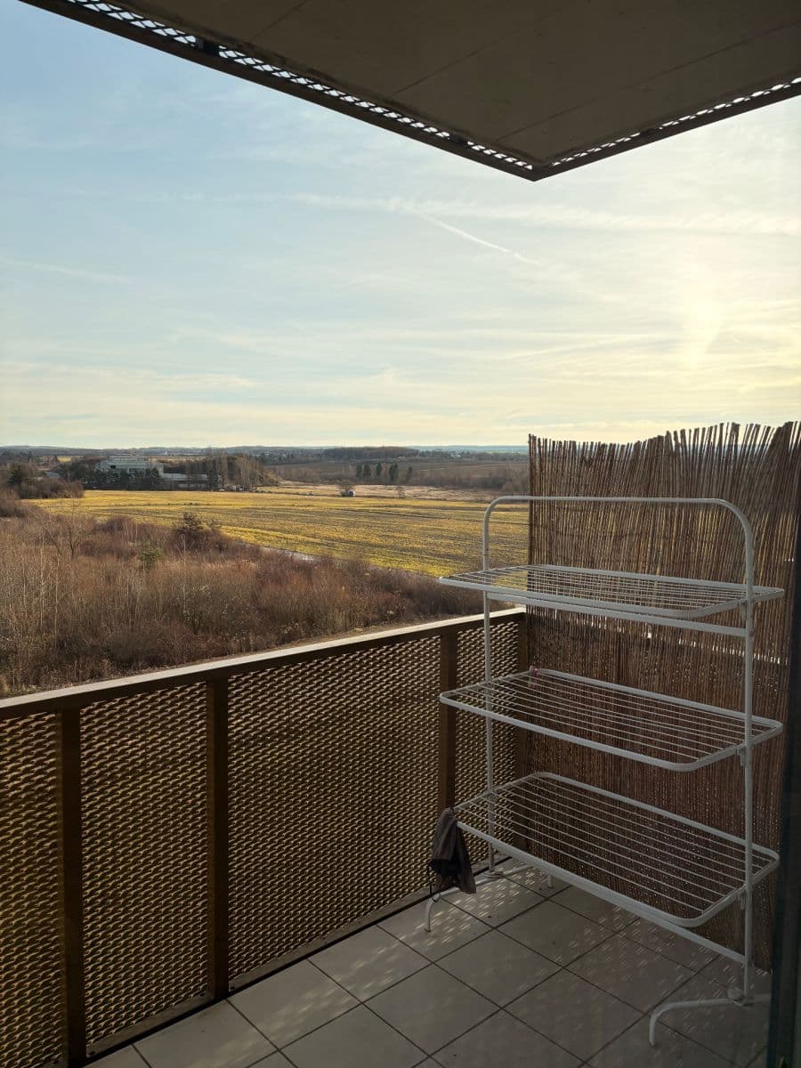 1 bedroom with open-plan kitchen flat to rent, 53 m², Honzíkova, Prague, Prague 1 bedroom with open-plan kitchen flat to rent, 53 m², Honzíkova, Prague, Prague