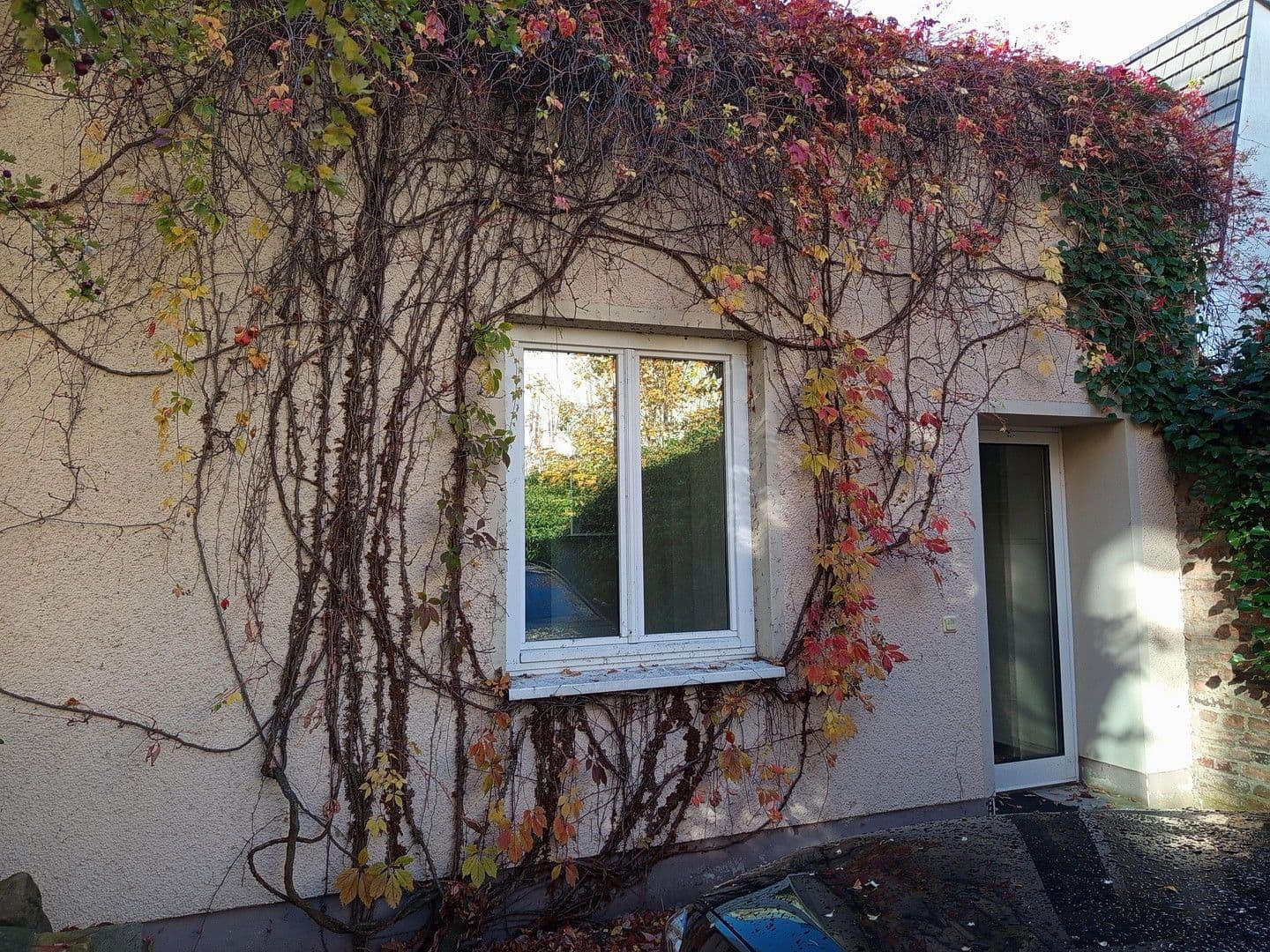 office to rent, 55 m², Dresden, Saxony office to rent, 55 m², Dresden, Saxony