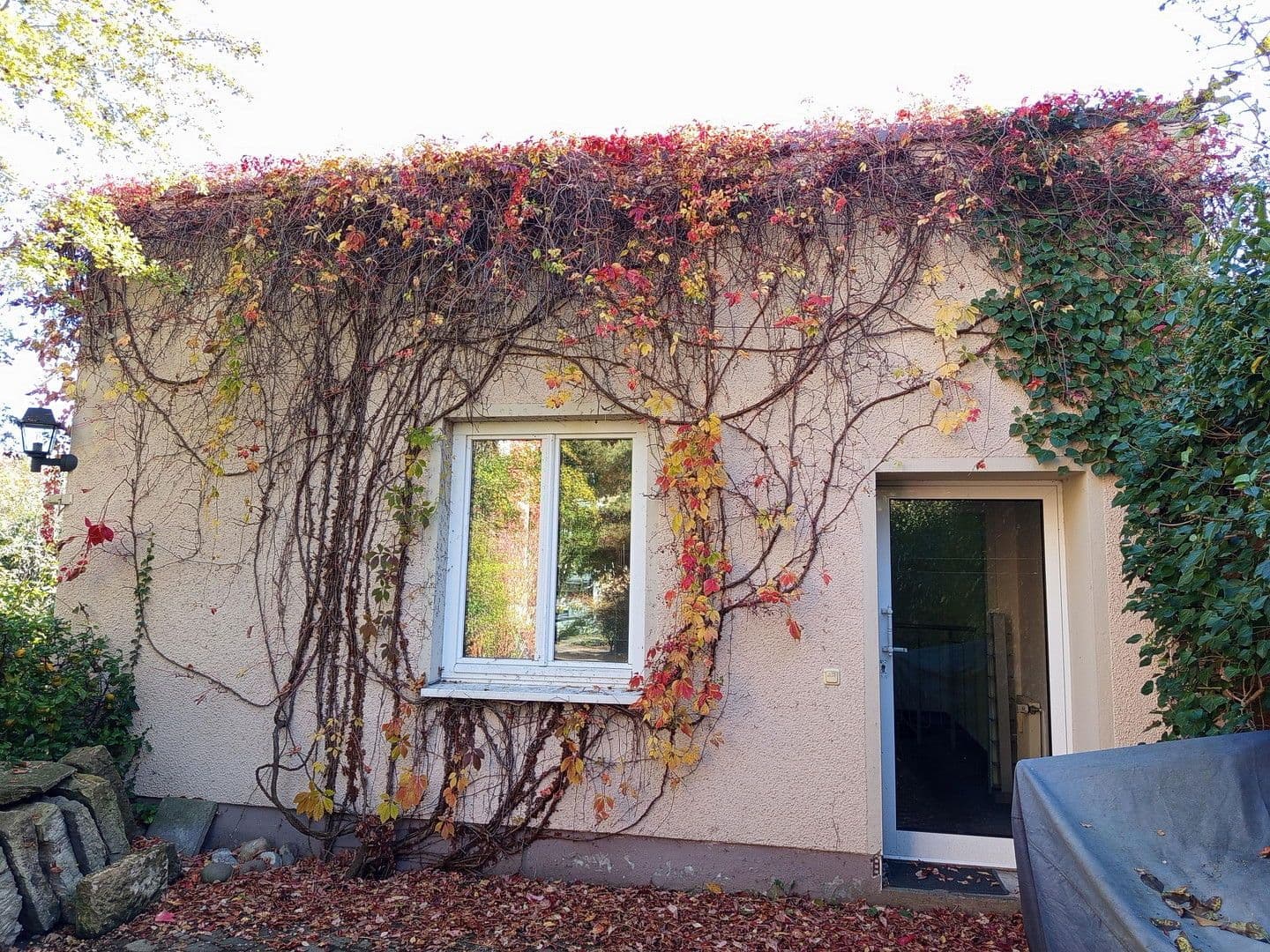 office to rent, 55 m², Dresden, Saxony office to rent, 55 m², Dresden, Saxony