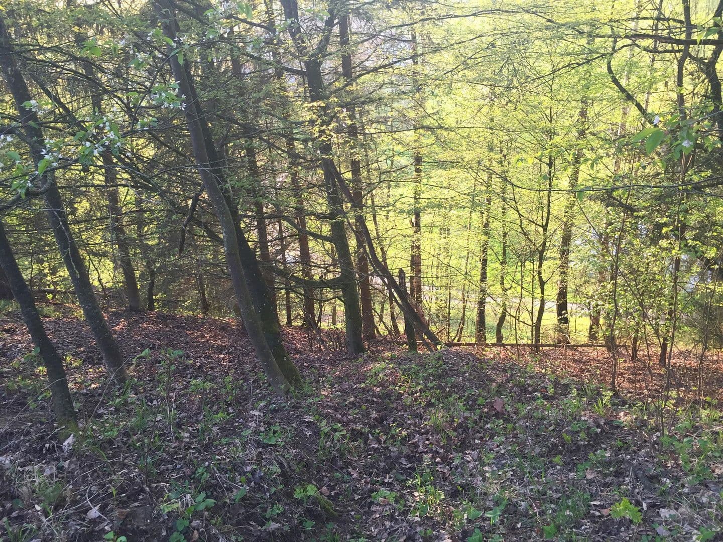 house for sale, 60 m², Adlkofen, Bavaria house for sale, 60 m², Adlkofen, Bavaria