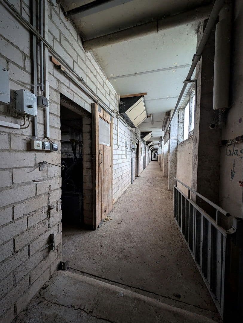 plot to rent, 23,500 m², Klossaer Straße 48, Jessen (Elster), Saxony-Anhalt plot to rent, 23,500 m², Klossaer Straße 48, Jessen (Elster), Saxony-Anhalt