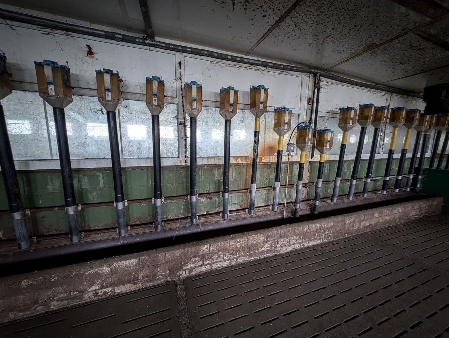 plot to rent, 23,500 m², Klossaer Straße 48, Jessen (Elster), Saxony-Anhalt plot to rent, 23,500 m², Klossaer Straße 48, Jessen (Elster), Saxony-Anhalt