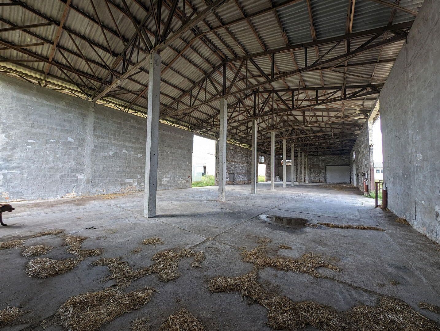 plot to rent, 23,500 m², Klossaer Straße 48, Jessen (Elster), Saxony-Anhalt plot to rent, 23,500 m², Klossaer Straße 48, Jessen (Elster), Saxony-Anhalt