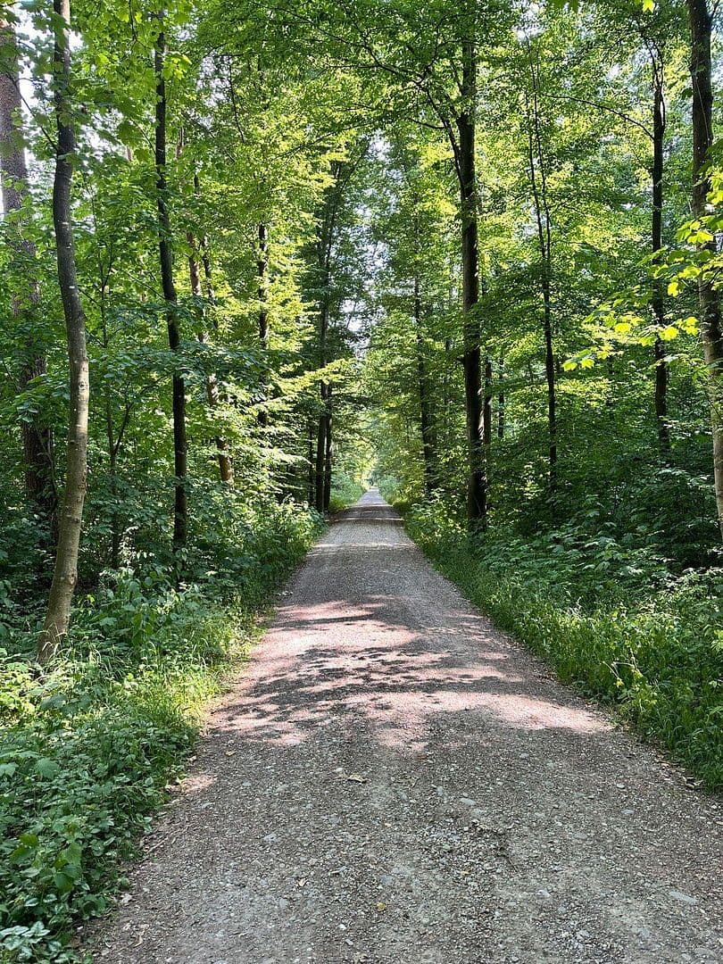 house for sale, 139 m², Augsburg, Bavaria house for sale, 139 m², Augsburg, Bavaria