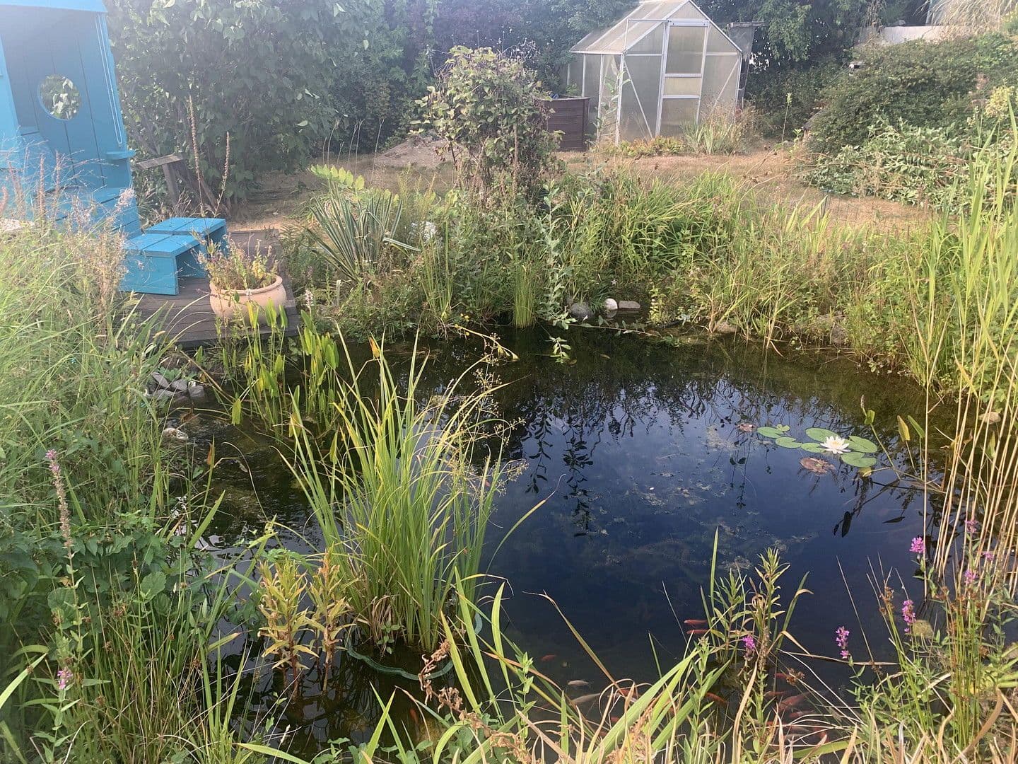 house to rent, 130 m², Große Wiese 5, Steinebach an der Wied, Rhineland-Palatinate house to rent, 130 m², Große Wiese 5, Steinebach an der Wied, Rhineland-Palatinate